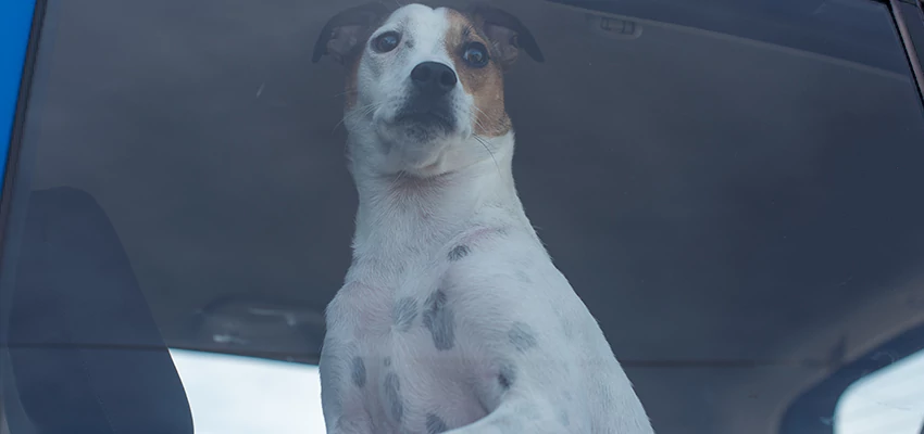 Car Lockout Solutions in Merced, California